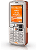 Sony Ericsson W800